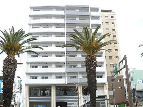 大阪府堺市堺区竜神橋町１丁 10階建 築10年10ヶ月