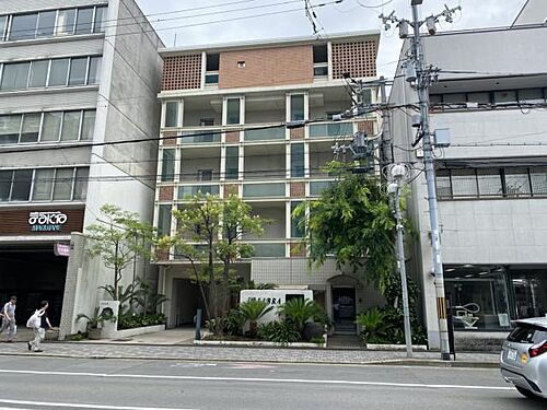 ＦＡＡＤ　（ファード）