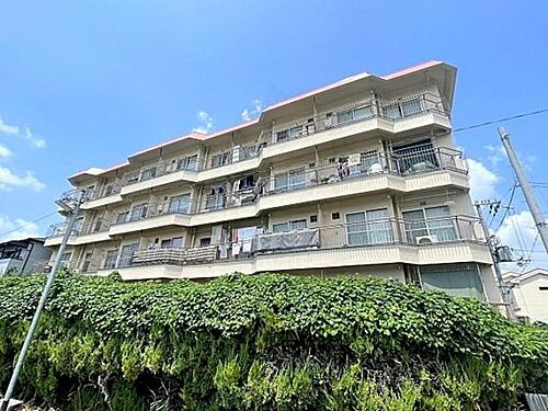 大阪府吹田市南高浜町 築51年11ヶ月 5階建