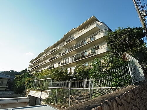 兵庫県神戸市東灘区住吉山手４丁目 築56年10ヶ月 5階建