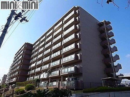 兵庫県西宮市津門大塚町 築28年2ヶ月 8階建