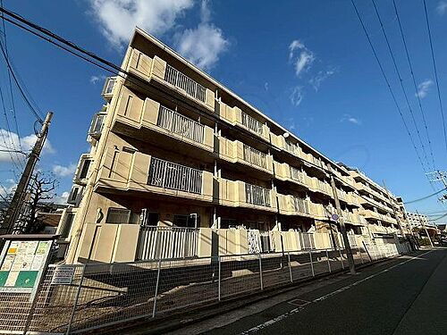 兵庫県芦屋市大東町 賃貸マンション