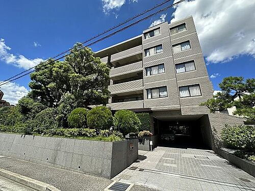 兵庫県芦屋市親王塚町 地上5階地下1階建 築37年2ヶ月