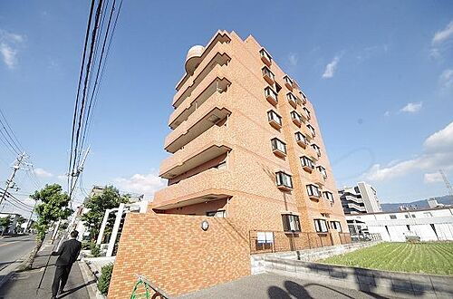 グレイスコート