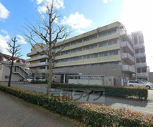 京都府京都市伏見区久我東町 5階建 築27年2ヶ月