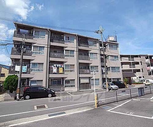 京都府向日市上植野町地後 4階建 築41年