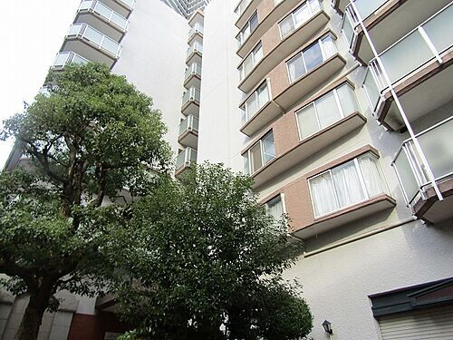 兵庫県神戸市中央区下山手通５丁目 賃貸マンション