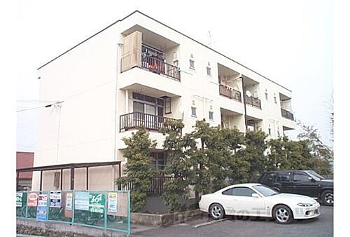 京都府向日市鶏冠井町大極殿 3階建 築48年11ヶ月