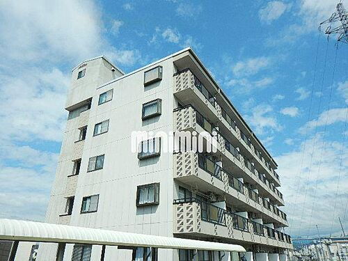 Ｆａｉｎ　Ｏａｓｉｓ　Ａｍｙｙ