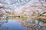 シティ淵野辺 鹿沼公園（694m）