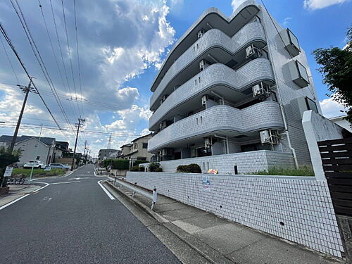 セリニティ一社