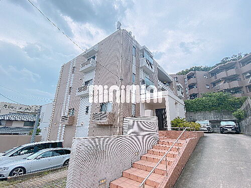 ＡＺＡＬＥＥ　ＵＥＺＯＮＯ