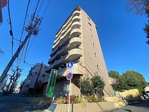 パール徳川 8階建