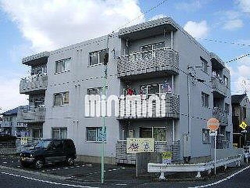 Ｖｅｒｔ　ｂｏｉｓ　Ｔｏｍｉｔａ