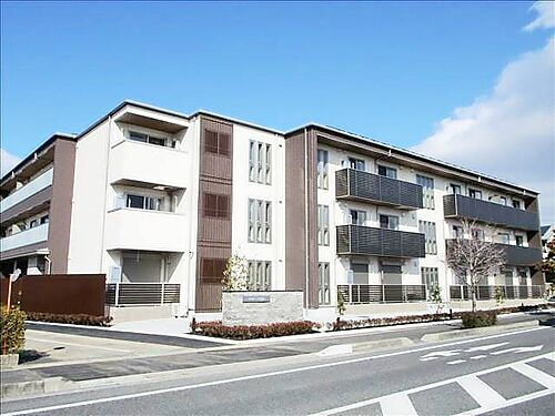 ベレオ　オランジュ