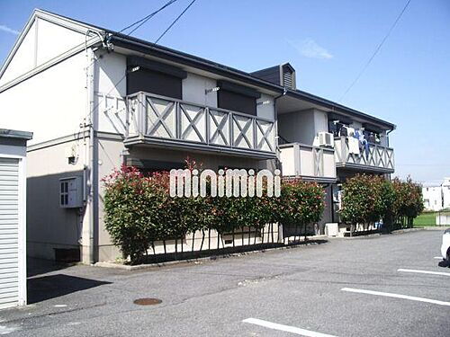 フレグランスオオクラ