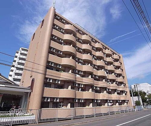 京都府京都市中京区西ノ京島ノ内町 8階建