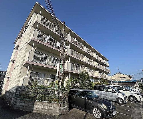 京都府京都市西京区下津林水掛町 4階建 築41年1ヶ月