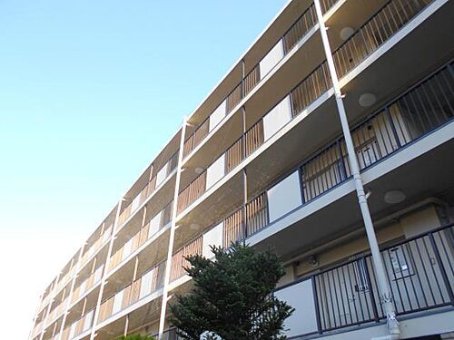 兵庫県神戸市灘区中原通７丁目 5階建 築55年5ヶ月