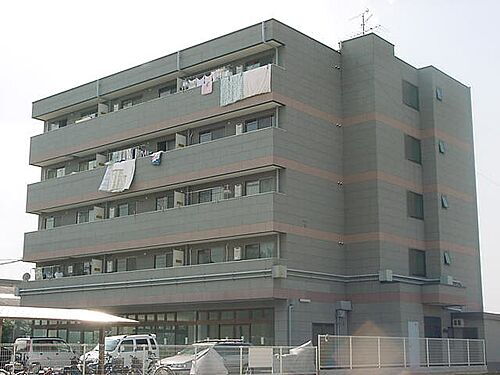 京都府京都市伏見区横大路貴船 5階建 築26年10ヶ月