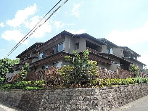 京都府京都市伏見区桃山町島津 築9年3ヶ月 2階建