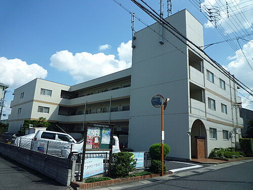 滋賀県大津市本丸町 3階建 築46年9ヶ月