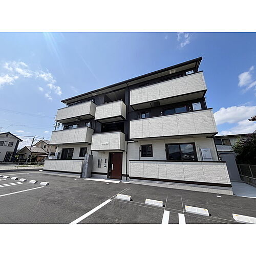 Ｌｅｍｏｎ　ｇｒａｓｓ