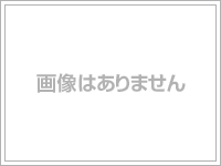 プラシード嵯峨 II