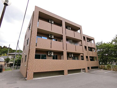 ガウディウムサカモト　ＩＩ