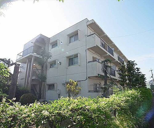 京都府向日市物集女町南条 築45年12ヶ月 3階建