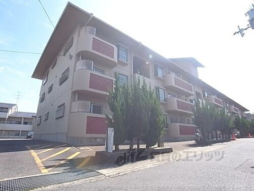 ジャデーン桂Ｉ