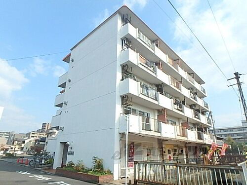 京都府京都市中京区西ノ京三条坊町 5階建 築43年12ヶ月