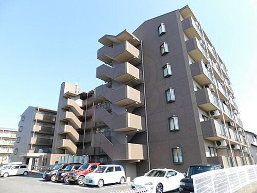 ＡＰＥＸ　ＦＬＡＴ　Ｒ