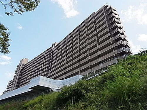 兵庫県神戸市西区池上１丁目 14階建 築33年9ヶ月