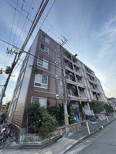 兵庫県西宮市甲子園口２丁目 築57年8ヶ月 5階建