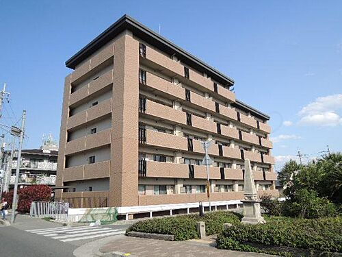 ビオラベール　Ｂタイプ