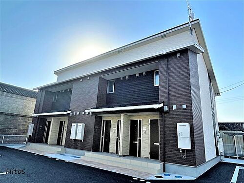 ＣＡＴ　ＣＯＣＯＡ　ＩＩ　Ａ（キャット　ココア　ツー　エー）