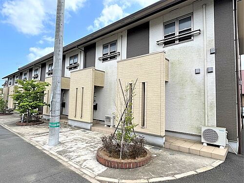 Ｓｕｎ　Ｐａｒｋ　Ｉｌｉｓ