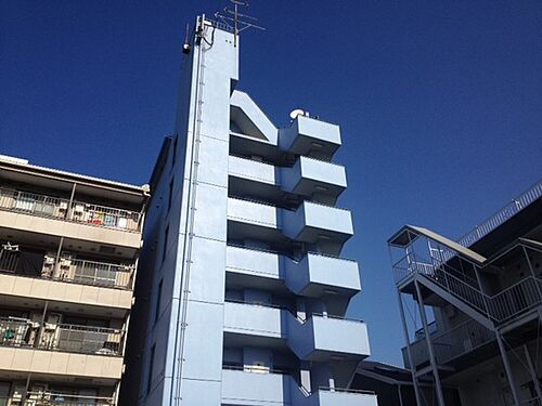 シロハイヌ姫里