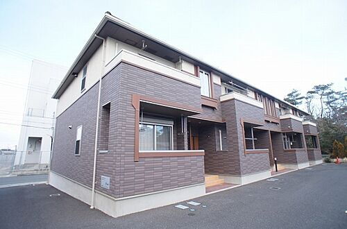 サニープラシード　Ｖ