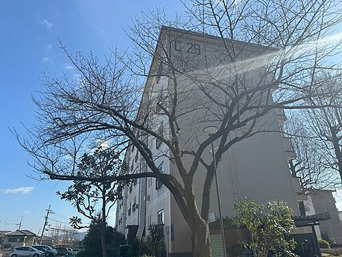 大阪府寝屋川市明徳２丁目 賃貸マンション