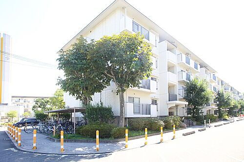 大阪府富田林市藤沢台１丁目 賃貸マンション