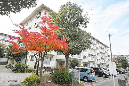 大阪府堺市中区八田北町 賃貸マンション