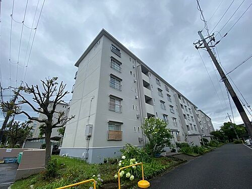 男山第３住宅２０４棟 5階建