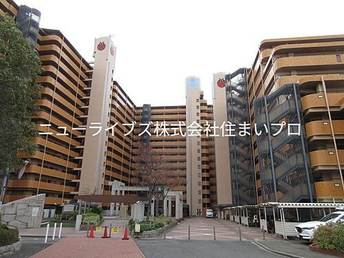 大阪府寝屋川市打上高塚町 11階建