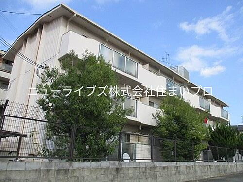 大阪府守口市梶町４丁目 築42年9ヶ月 4階建