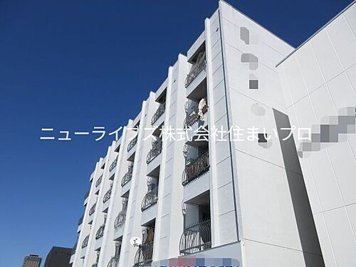 大阪府寝屋川市境橋町 築52年2ヶ月 5階建