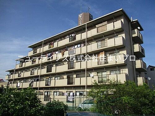 大阪府寝屋川市清水町 築39年7ヶ月 5階建