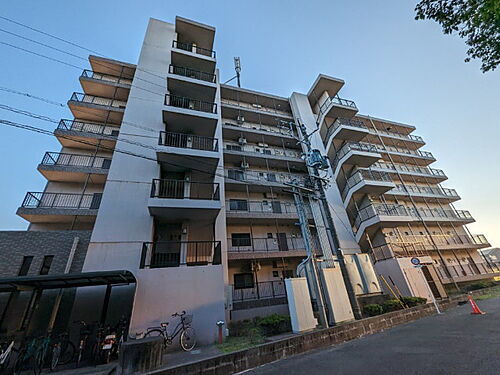 静岡県浜松市中央区小池町 7階建 築18年6ヶ月