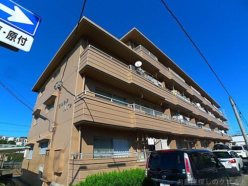 愛知県名古屋市天白区池見１丁目 4階建 築40年